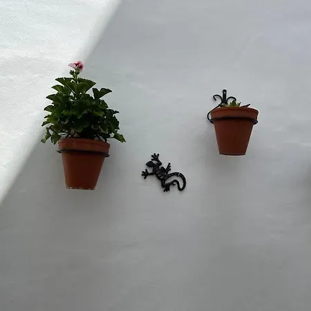 Casa Encantadora Ольвера