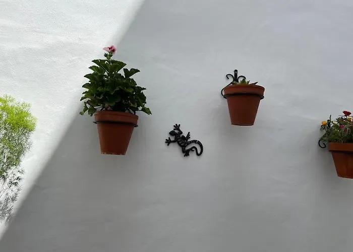 Casa Encantadora 奥维拉